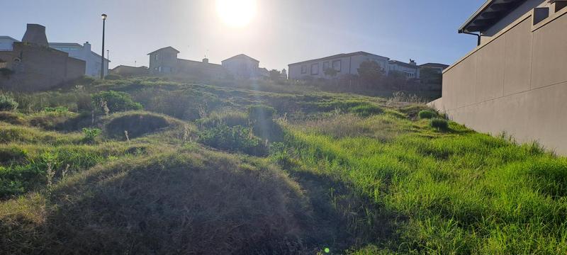 0 Bedroom Property for Sale in Jongensfontein Western Cape